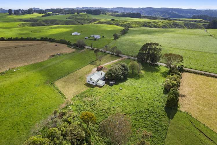 1253 Kohi Road Waverley_7