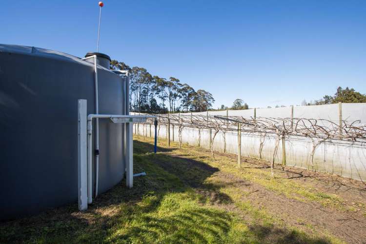 21 Anderson Lane Whakamarama_15