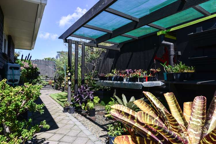 44 Bartholomew Drive Nawton_15