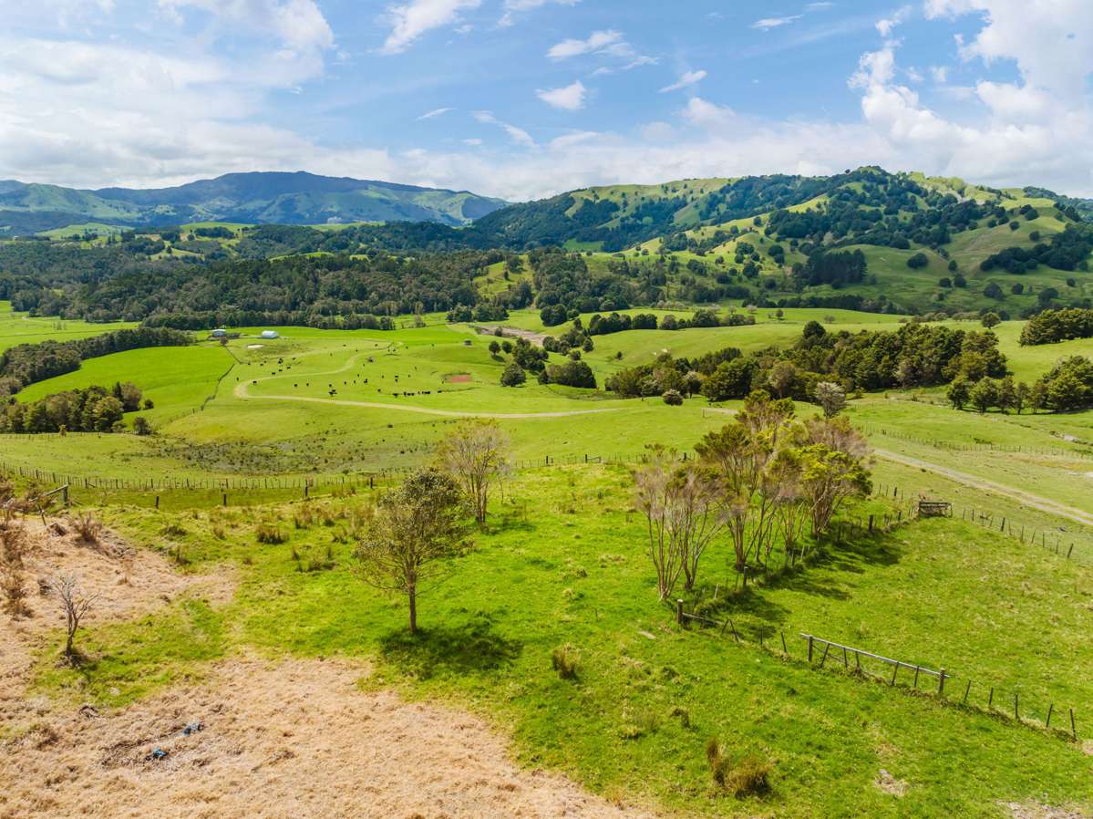 207 Aponga Stream Road_2