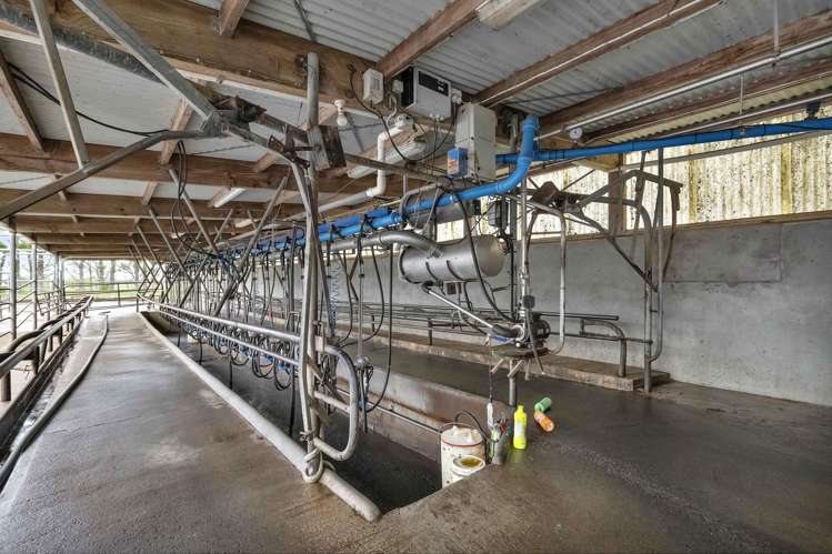 192 Upper Kina Road Oaonui_10