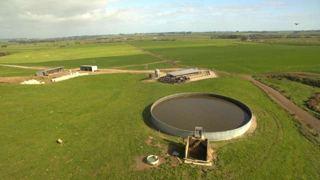 Entry level dairy farm