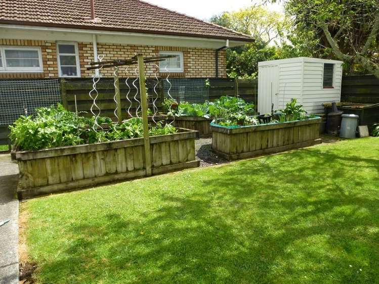 299 Thames Street Morrinsville_19