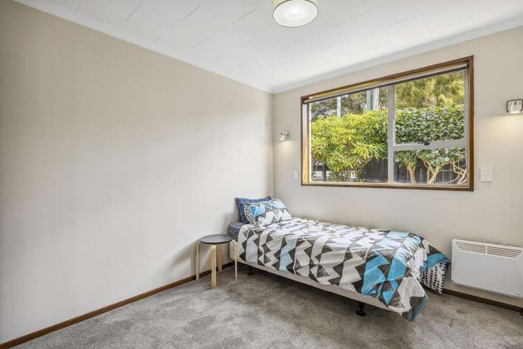 11a Allandale Road Saint Clair_6