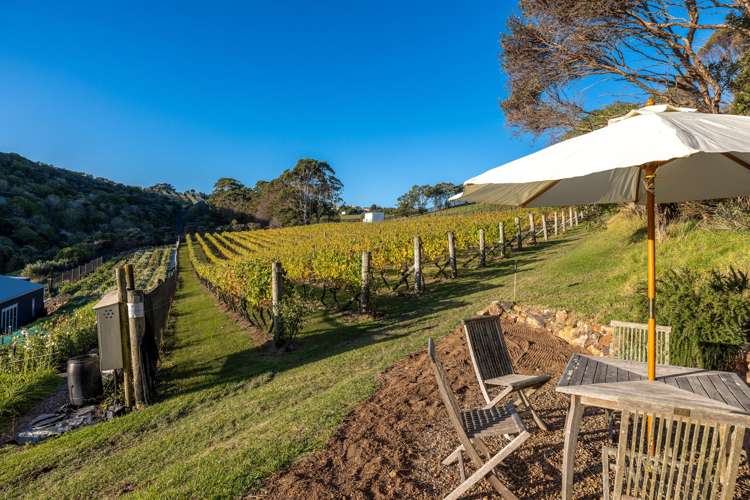 68 Korora Road Oneroa_6