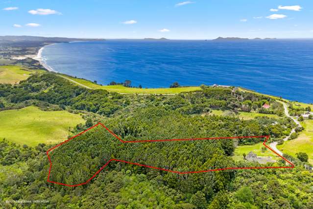 65 M Greenwood Road Leigh_2