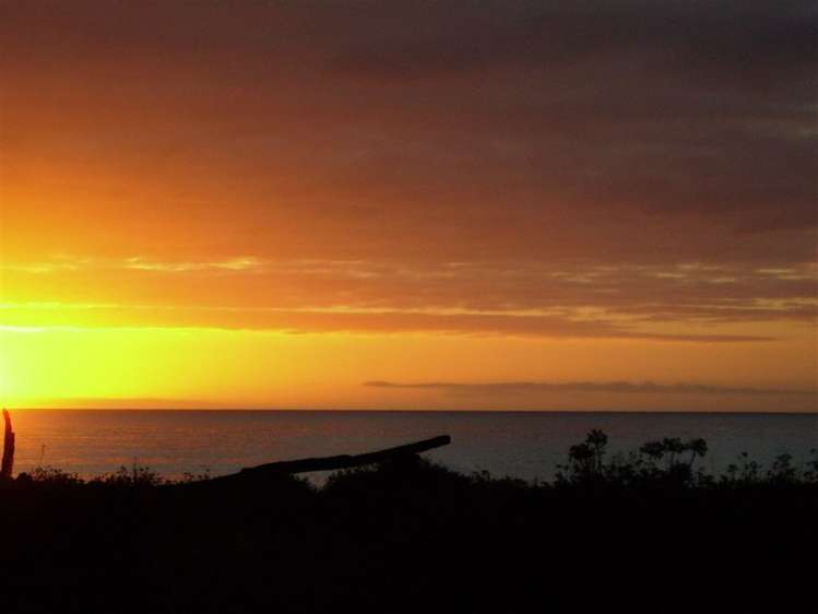 222 Rarangi Beach Road Rarangi_17