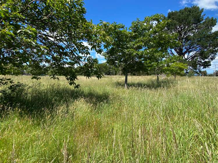 783 Chester Road Carterton_10