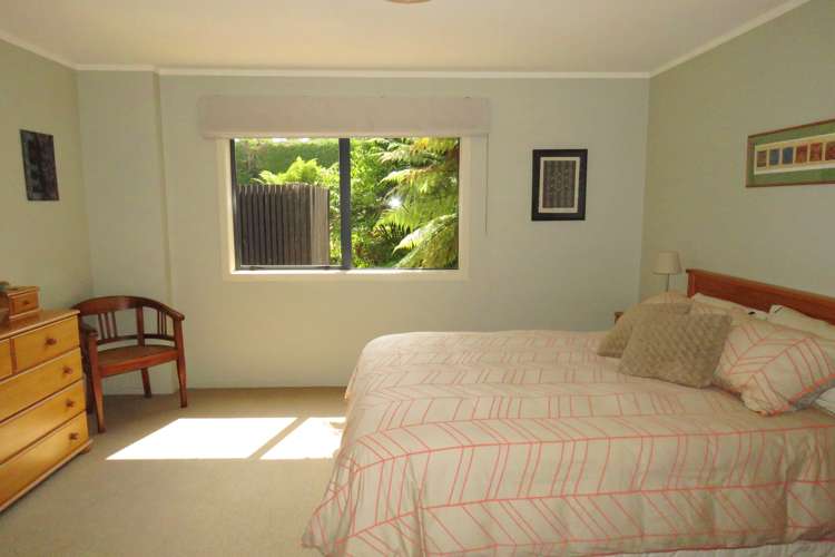 63 Taplin Road Matangi_13