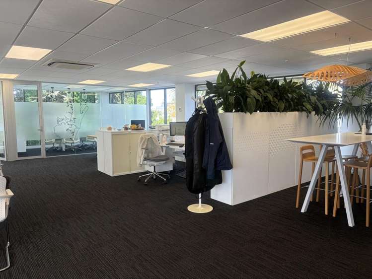 132 Hurstmere Road Takapuna_9