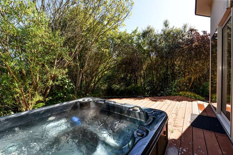 21a Darley Street Maeroa_7