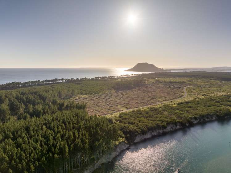 205 Matakana Island, 148 HA Matakana Island_18