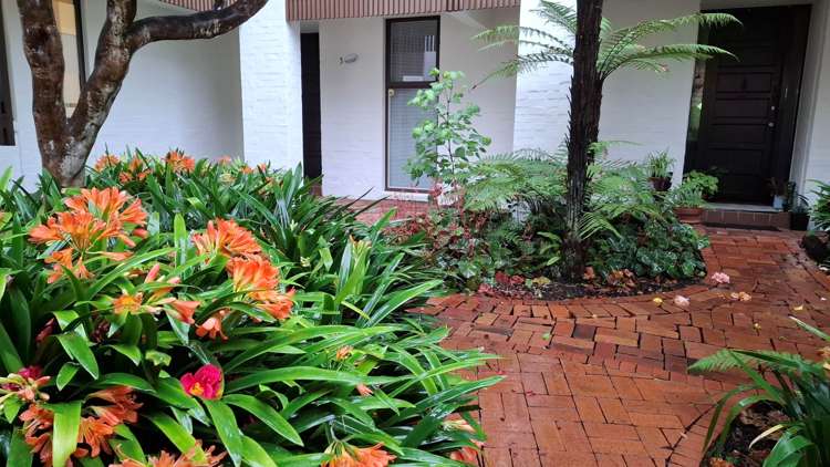 5/123 Owens Road Epsom_10