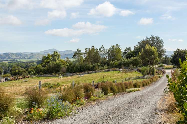 67A Lees Pakaraka Road Masterton_17