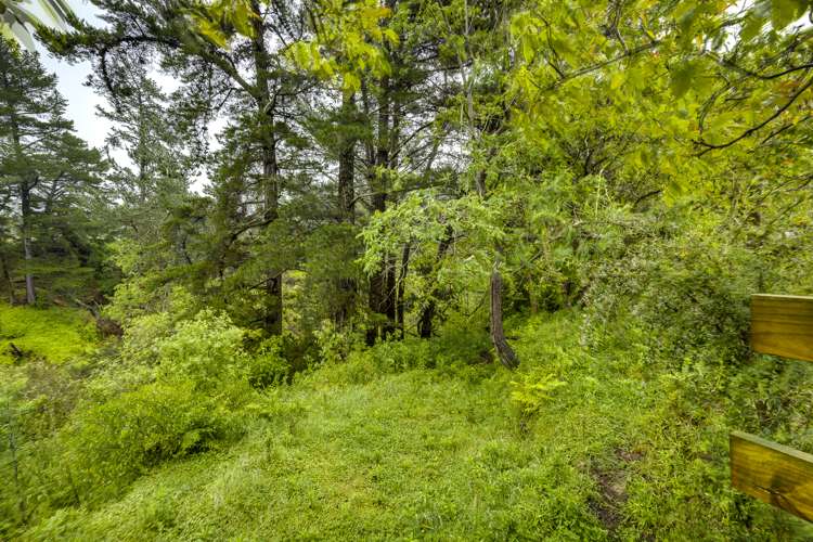 2023 Puketitiri Road Central Hawkes Bay Coastal_19