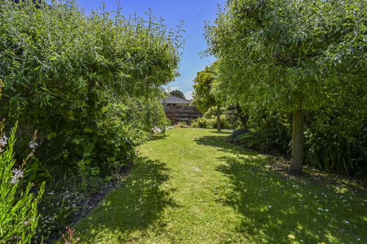 3/205 Knight Street Hastings_12