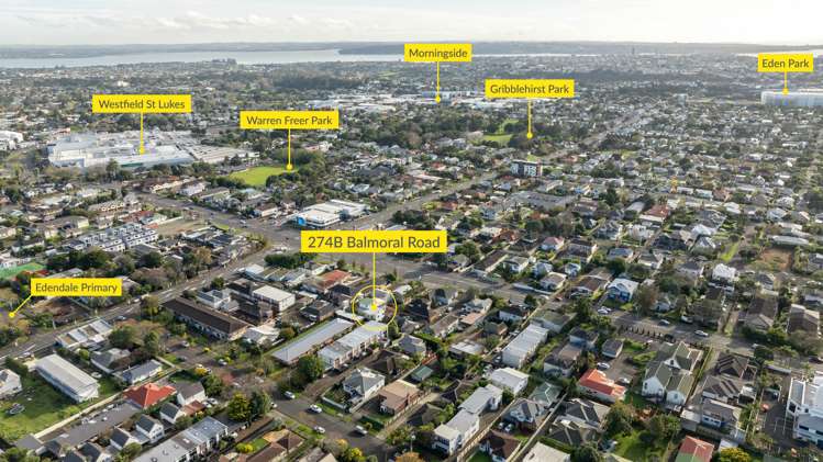 274b Balmoral Road Sandringham_26