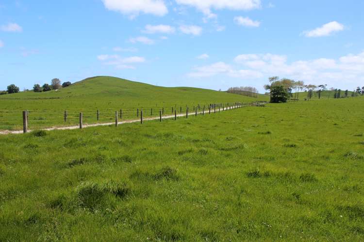 295 Waiteitei Road Wellsford_11