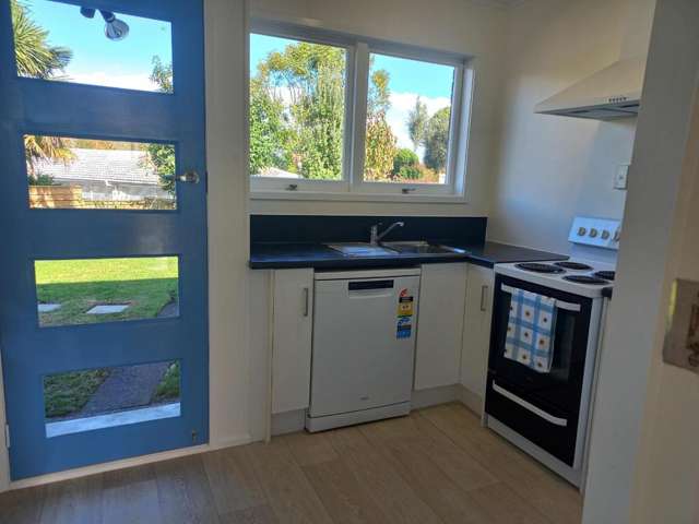 2/91A Trafalgar Street Onehunga_3