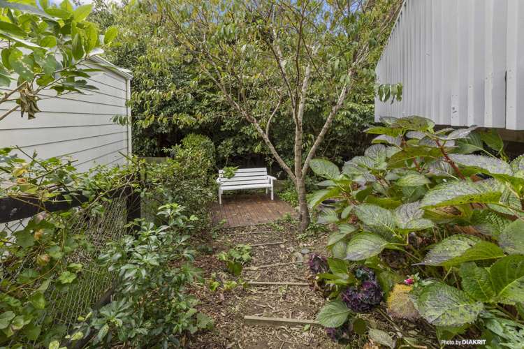 16 Sim Street Johnsonville_14