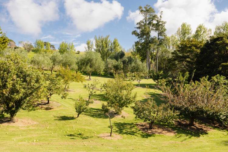 Andersons Cove Mangawhai_17