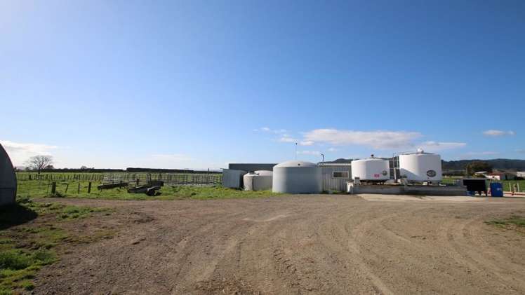 98 Mccracken Road Edgecumbe_11