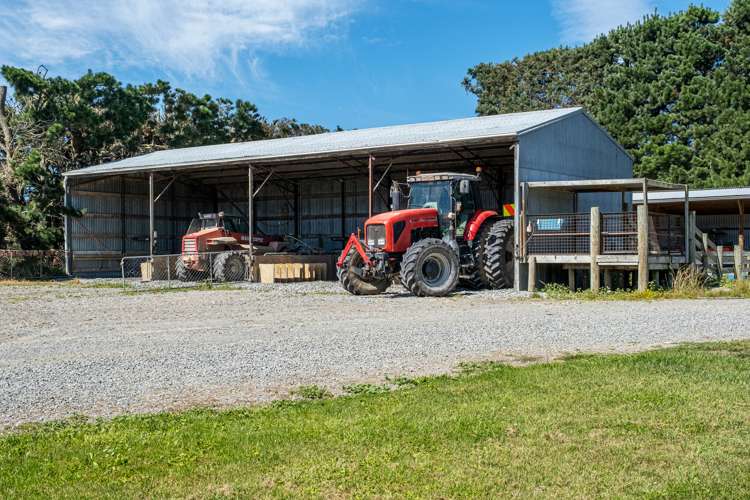 311 Knyvetts Road Southbridge_15