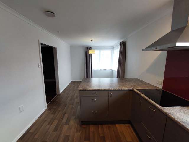 19 Richmond Avenue Takaro_3