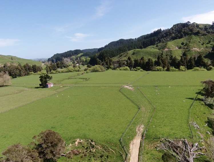 167 Whenuakura Road Waimiha-Ongarue_14