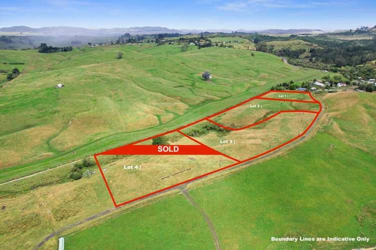 166a Renown Road Waikokowai_7