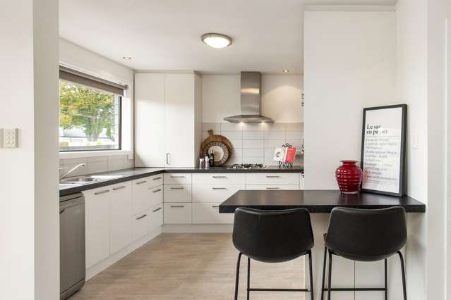 33 Repton Street Merivale_4