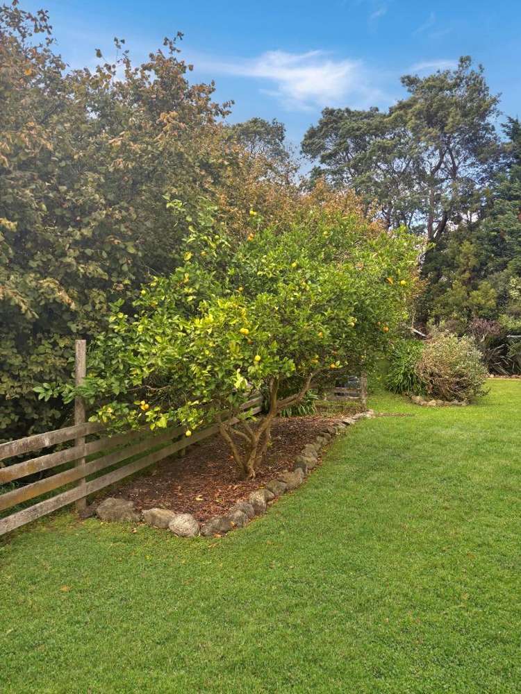 100b No 4 Line 10920_22