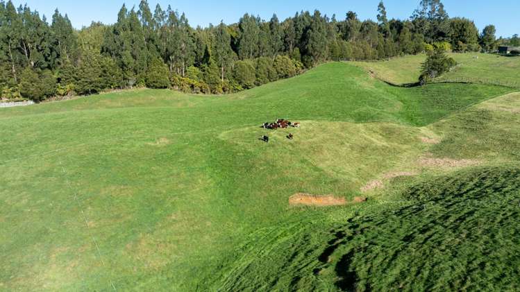 271 Endean Road Ngongotaha Valley_12