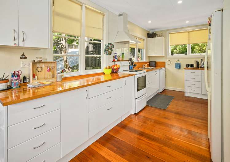 18 Arrow Street Washington Valley_2