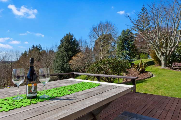 1034 Braemar Road Rotoma_10