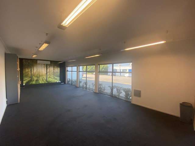 463 Jackson Street Petone_3