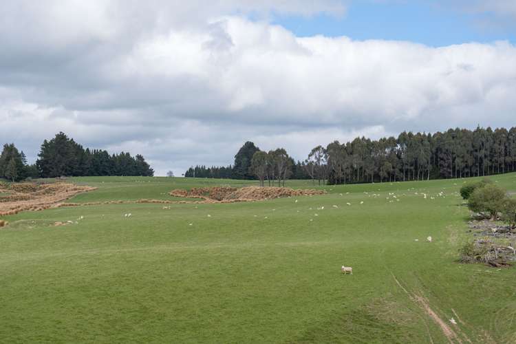 220 Mackay Road West Otago Surrounds_22