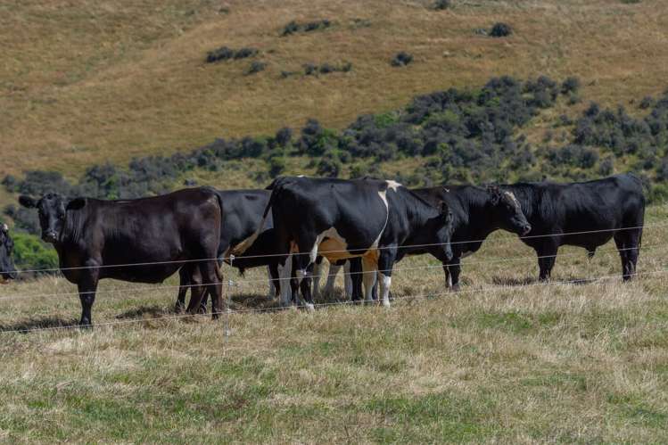 324 Reeces Road Waipara_11