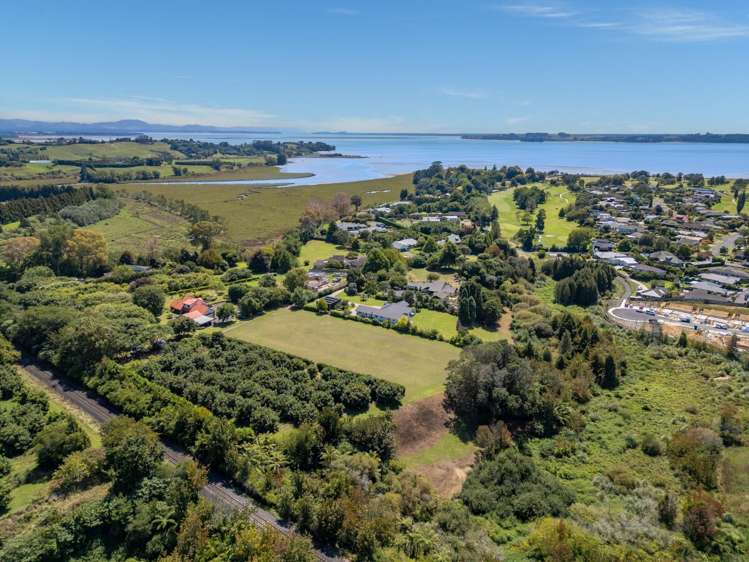 11b Astelia Drive Omokoroa_8