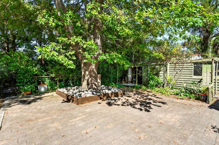 131 Main Street Greytown_13