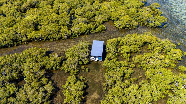 353 Rangiputa Road Karikari Peninsula_64