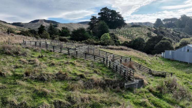 816 Mangamahoe Central Road Eketahuna_17