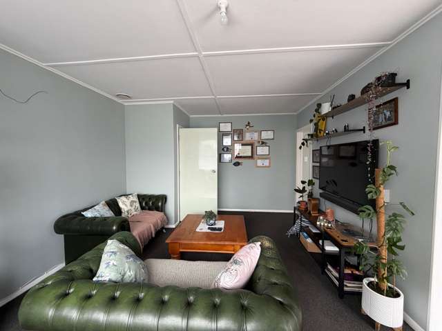  45 Rangiora Avenue Roslyn_1