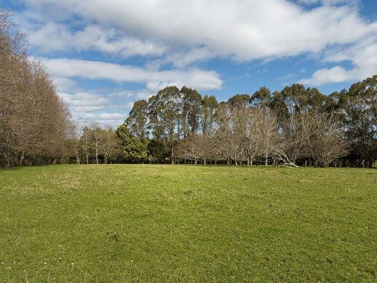 67 Andrews Road Onewhero_10