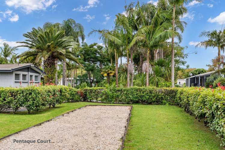 B5/71 Moir Street Mangawhai_13