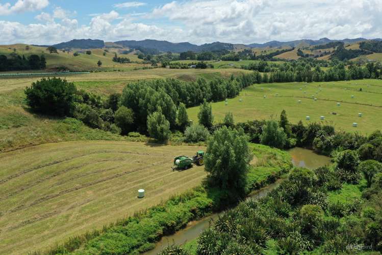 211 Waitetuna Valley Road Raglan_14