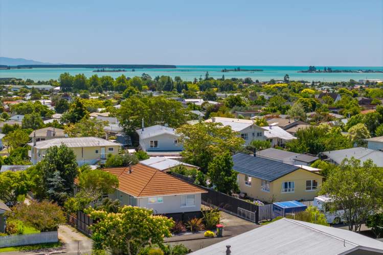 38 Marlborough Crescent Richmond_2