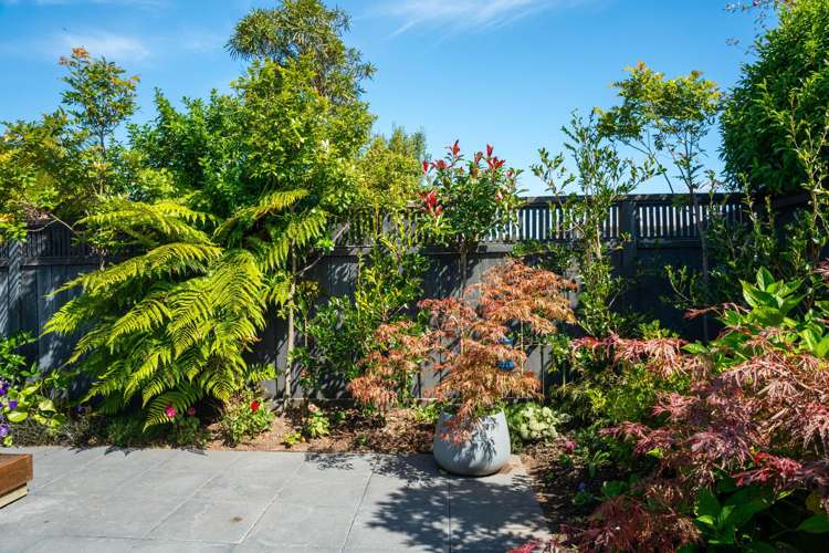 18B Karamu Street Central_20