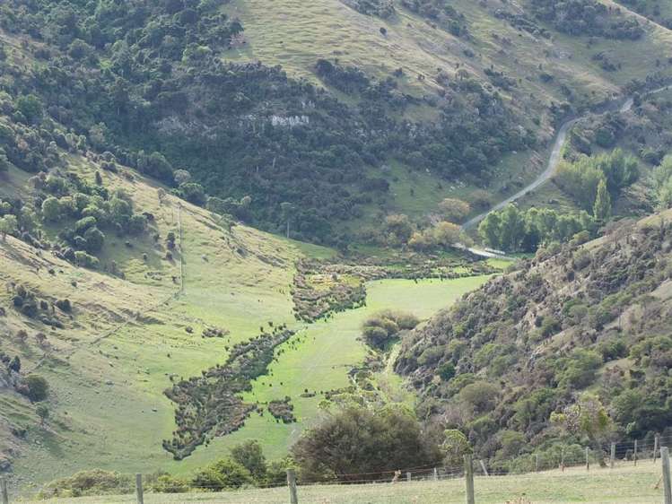 831 Chorlton Road Little Akaloa_27