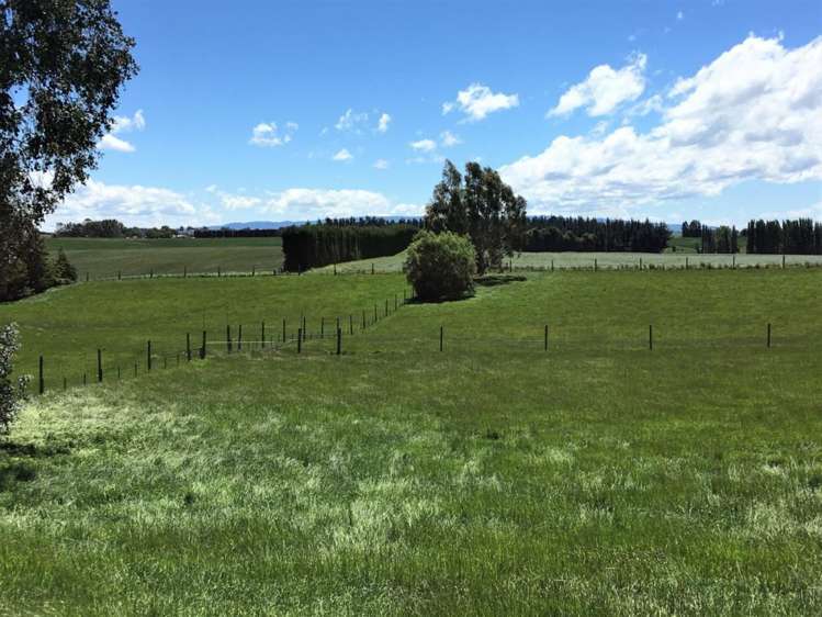 308 Waiwera Station Road Clinton and Surrounds_6